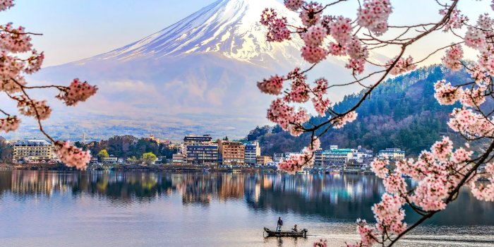 2400x1602 Cherry Blossom Wallpaper - Wallpaper Sun