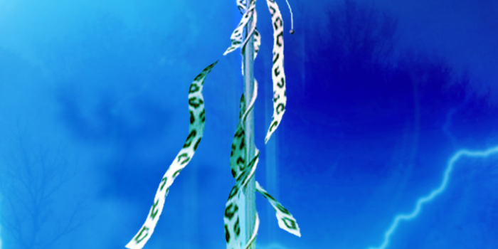 709x1536 Free download 12 best lord shiva wallpapers for mobile devices Ghantee  [709x1536] for your Desktop, Mobile & Tablet | Explore 20+ Shiva Wallpapers  | HD Shiva Wallpapers, Lord Shiva Wallpaper, Shiva Images Wallpapers