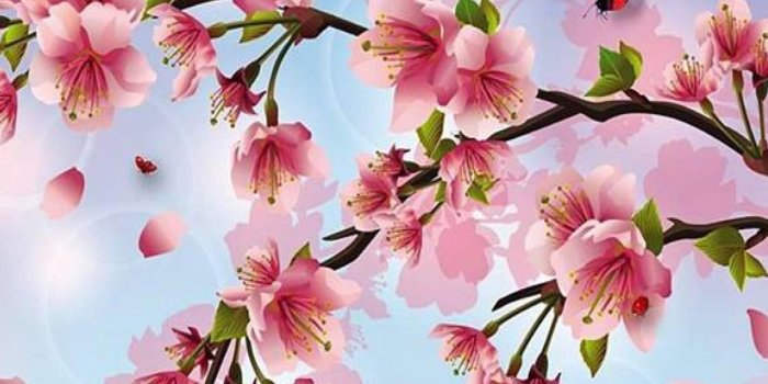 1920x1440 Cherry blossoms painting wallpaper cherry blossom : Wallpapers13.com