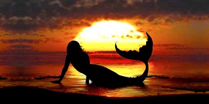 1920x1200 Mermaid Wallpaper HD - PixelsTalk.Net
