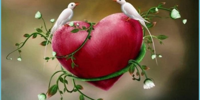 1241x698 Love Birds Wallpapers - Top Free Love Birds Backgrounds - 3d Love Birds  Wallpapers | Neat