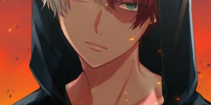 827x1280 Shoto Todoroki Wallpaper - EnWallpaper