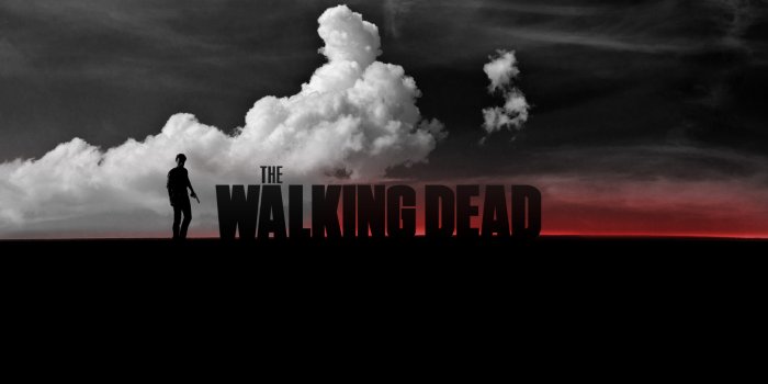 1920x1080 The Walking Dead Wallpaper [1920x1080]: wallpaper