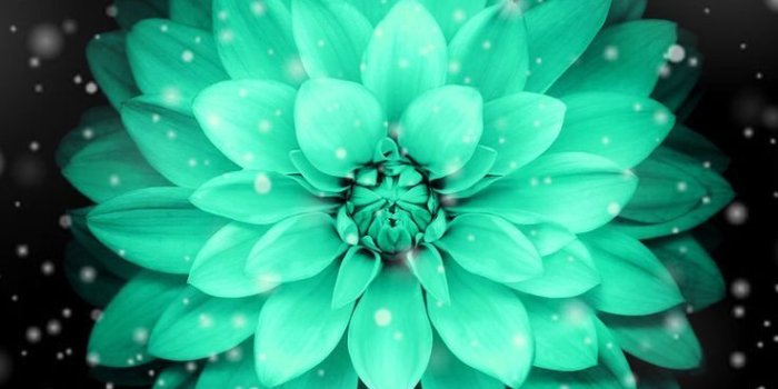 736x1308 Cute iPhone Teal Wallpapers - Top Free Cute iPhone Teal Backgrounds -  WallpaperAccess