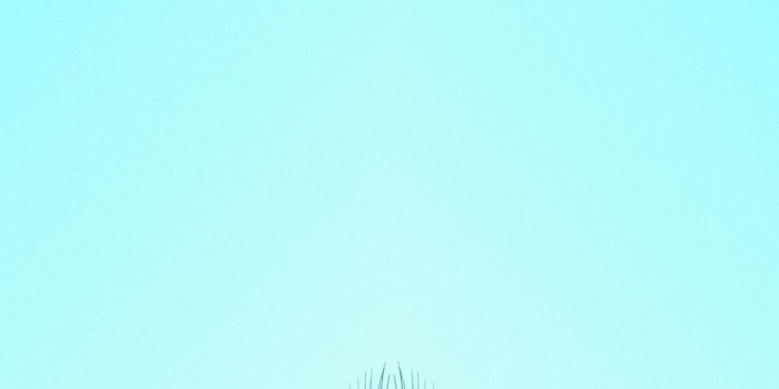 1080x1920 Aqua Blue iPhone Wallpapers