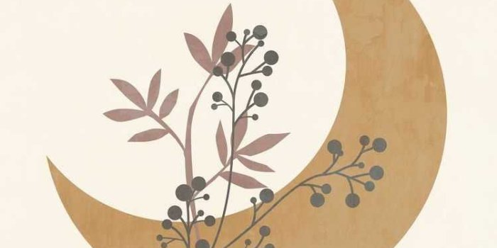 749x1090 Boho Aesthetic Wallpaper - EnWallpaper