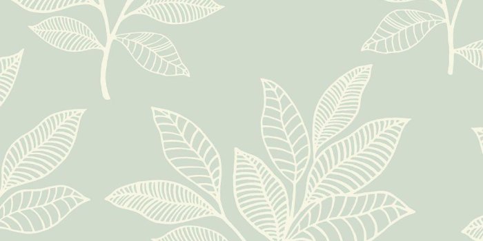 1000x1000 Paradise Leaves Wallpaper in Mint from the Boho Rhapsody Collection by –  BURKE DECOR