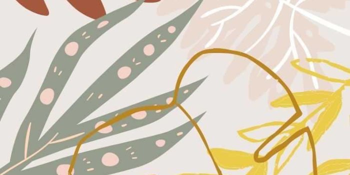 735x1102 Boho Aesthetic Wallpaper - EnWallpaper