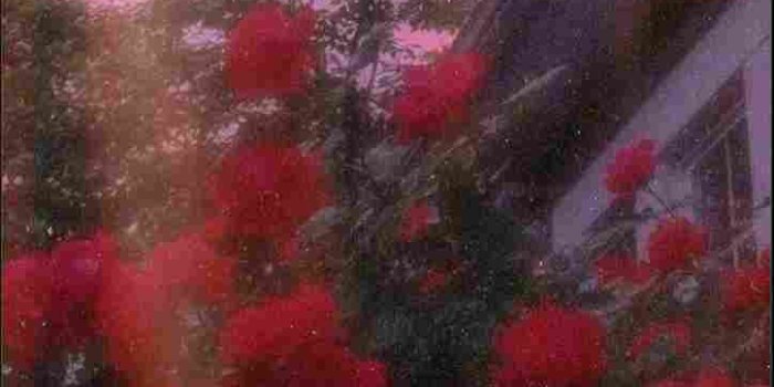 724x1285 Pastel Red Aesthetic Wallpapers – Wallpapers Wise