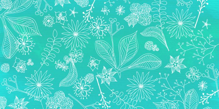 2560x1440 Free download Cute Teal Wallpapers [2560x1440] for your Desktop, Mobile &  Tablet | Explore 76+ Teal Wallpapers | Black and Gold Wallpaper, Harlequin  Wallpaper, Teal Wallpaper Canada