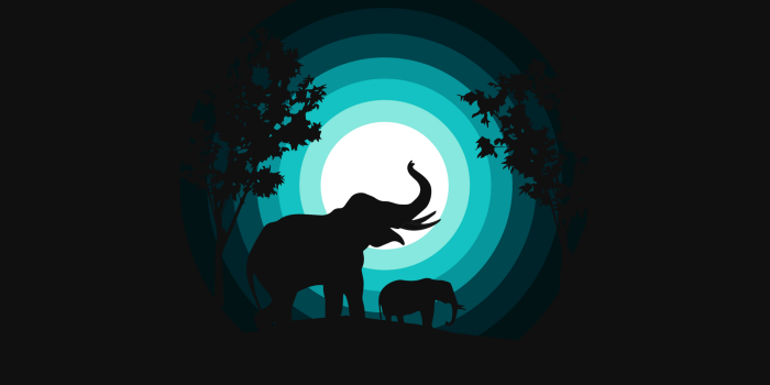 2560x2560 Elephant Wallpaper 4K, cub, Silhouette, Night, Teal, Black background,  Black/Dark, #972