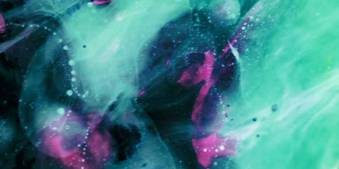 2160x3840 Wallpapers from The Verge - The Verge