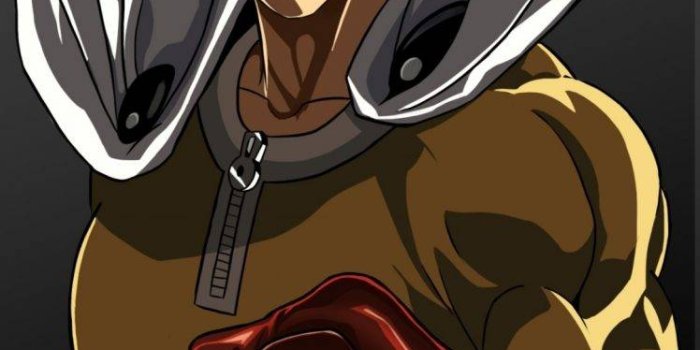 748x1330 Saitama, One Punch Man, Anime, Gloves Wallpapers HD / Desktop and Mobile  Backgrounds