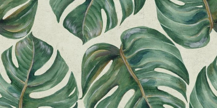 1000x1000 Tropical Leaf Wallpaper by MINDTHEGAP | Do Shop