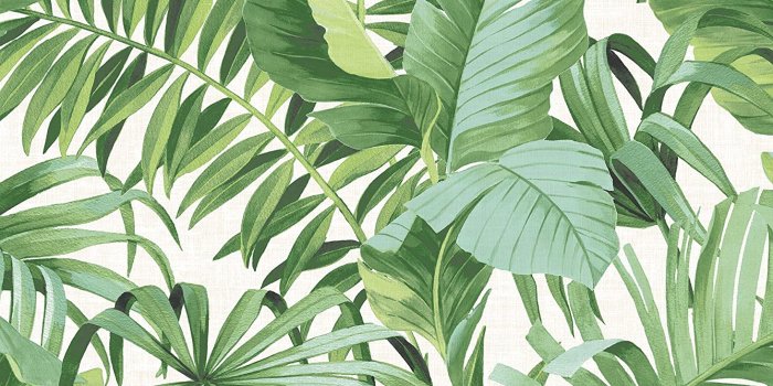 1464x1500 Palm Leaf Wallpapers - 4k, HD Palm Leaf Backgrounds on WallpaperBat