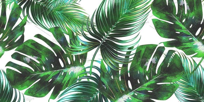 1165x777 Free download 15 Watercolor Tropical Leaf Wallpapers Download at  WallpaperBro [1165x777] for your Desktop, Mobile & Tablet | Explore 57+  Tropical Desktop Background | Tropical Island Wallpaper, Island Wallpaper,  Island Pictures Wallpaper