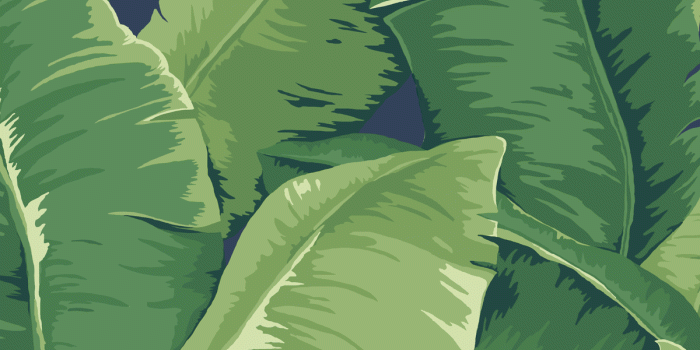 1200x1599 Bold Banana Leaf Wallpaper - Jaima Company