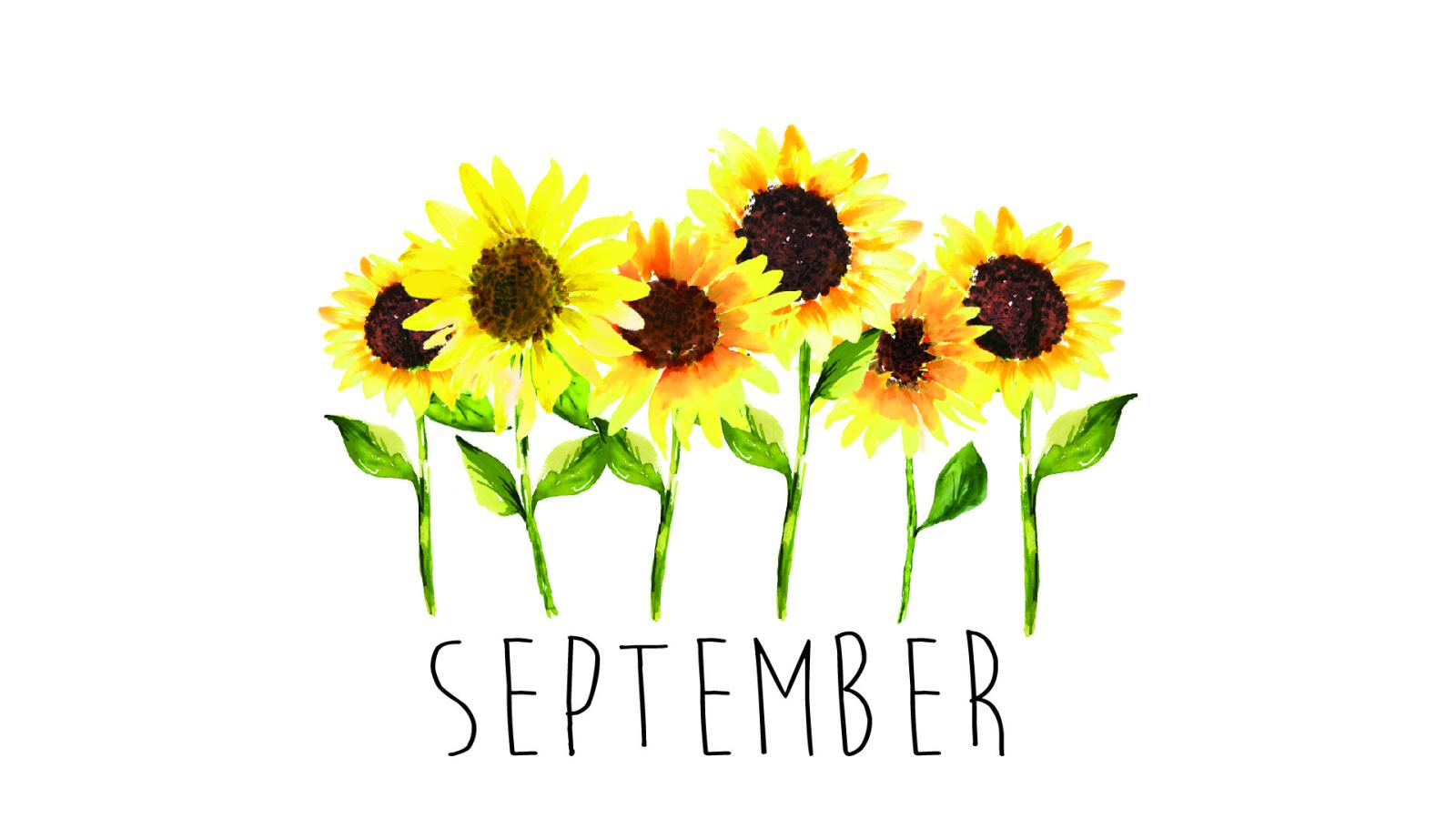 1920x1080 September Wallpaper HD - KoLPaPer - Awesome Free HD Wallpapers