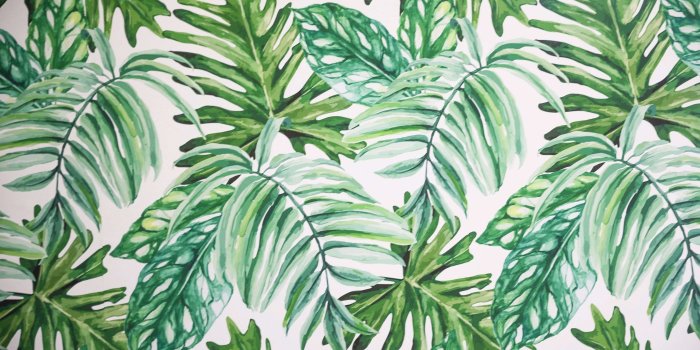 3360x2240 Tropical Leaves 4k Wallpapers