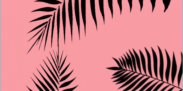 2560x2560 Phone Wallpapers Leaves Wallpaper Iphone, Palm Leaf Wallpaper - Pink Leaf  Wallpaper | Neat