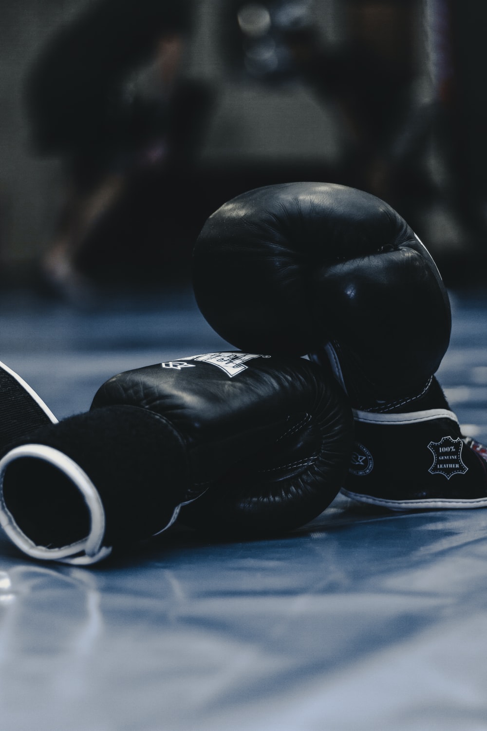 1000x1500 500+ Boxing Pictures [HD] | Download Free Images on Unsplash