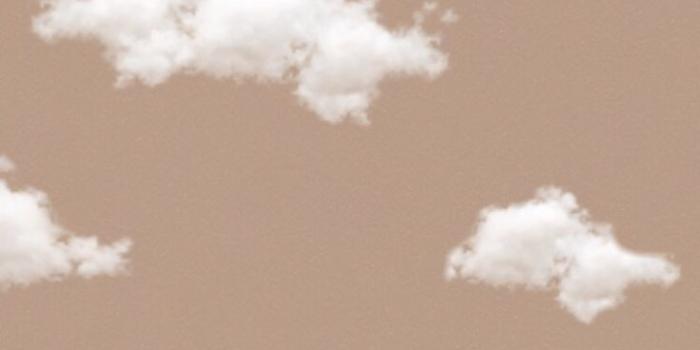 736x1308 Soft wallpaper shared by shithappens on We Heart It