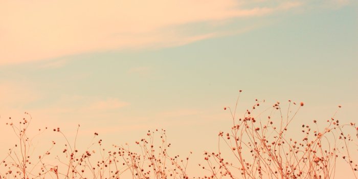 3840x2138 Soft Aesthetic Computer Wallpapers - Top Free Soft Aesthetic Computer  Backgrounds - WallpaperAccess