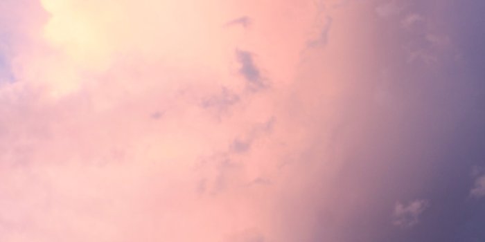 1000x1500 1000+ Soft Background Pictures | Download Free Images on Unsplash