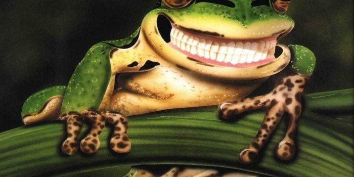 1024x768 Frog Wallpaper - NawPic