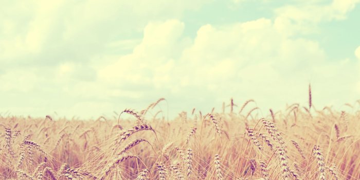 1920x1080 17 Soft Wallpapers - Wallpaperboat