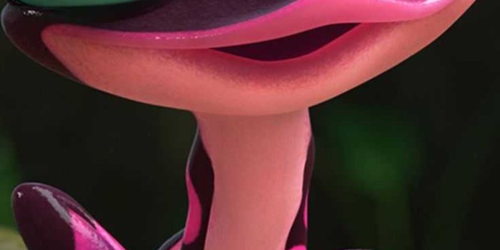 736x1309 Frog Wallpaper | WhatsPaper