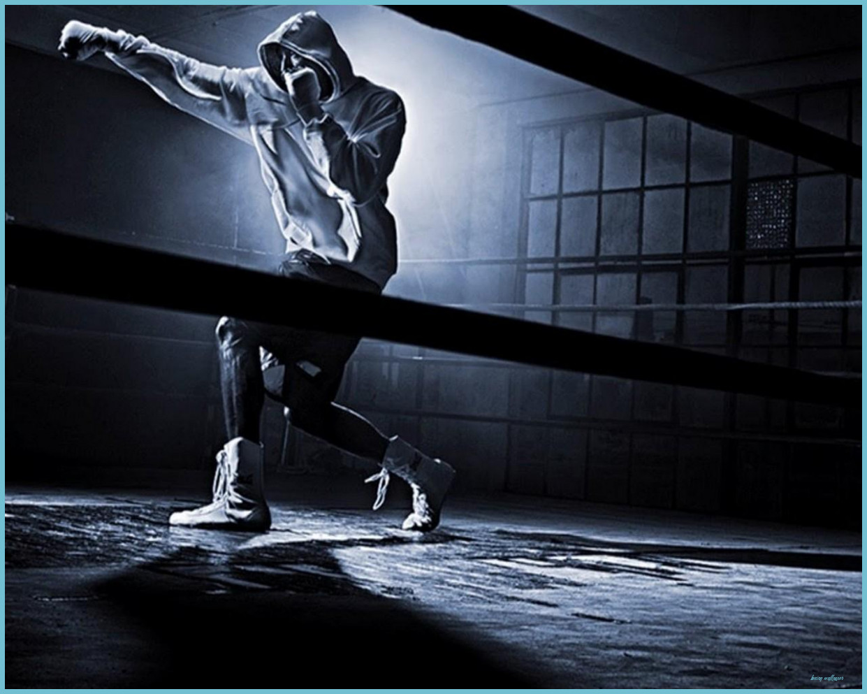 1241x993 Boxing Wallpaper HD Für Android - APK Herunterladen - Boxing Wallpaper |  Neat
