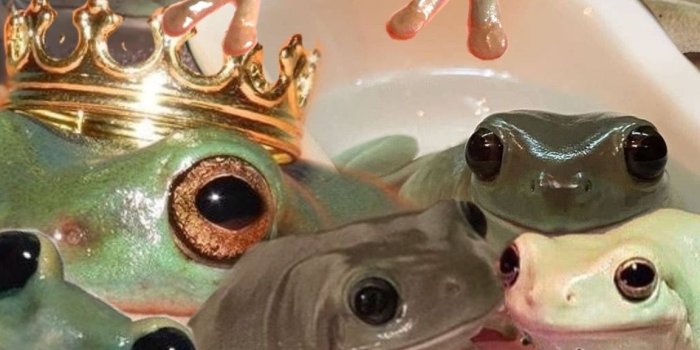 1152x2048 Aeagomez on wallpaper in 2021 | Frog art, Frog pictures, Frog  wallpaper