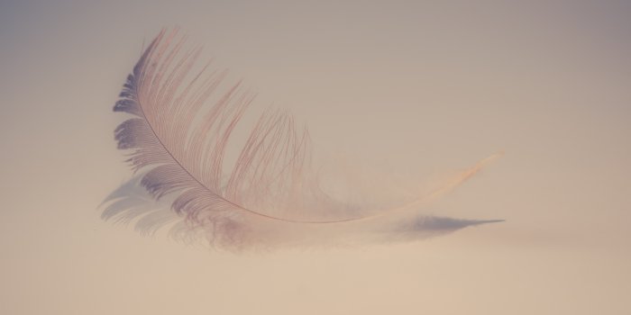 1920x1080 1920x1080 Feather Soft 5k Laptop Full HD 1080P HD 4k Wallpapers, Images,  Backgrounds, Photos and Pictures