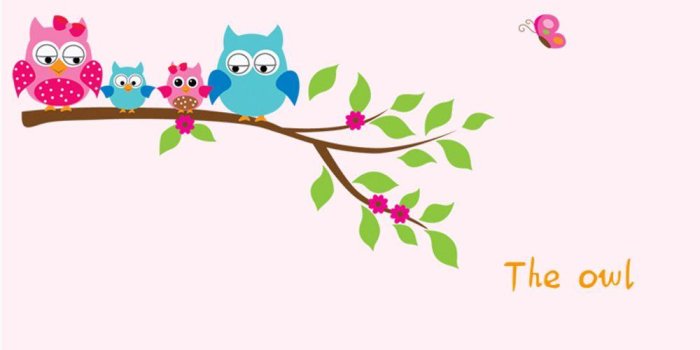 1000x1000 Owl Family Wallpapers