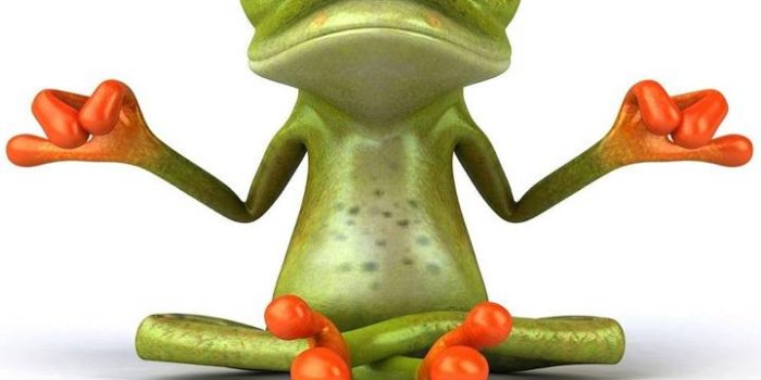 720x1280 Background Frog Wallpaper - EnWallpaper