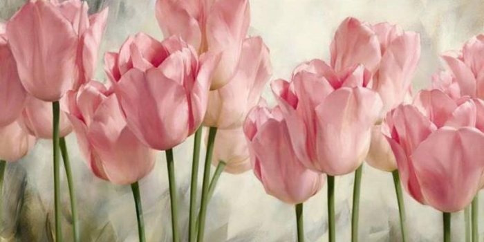 1680x1050 Soft Wallpapers >> Backgrounds With Quality HD Desktop Background