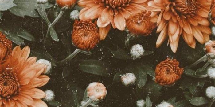 719x1280 Soft Women Wallpapers