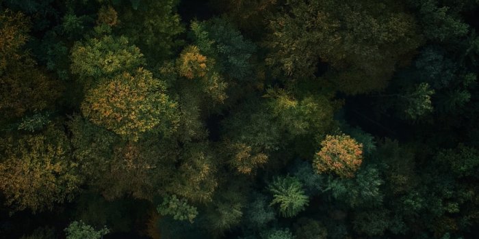 1000x1778 Lock Screen Wallpapers: Free HD Download [500+ HQ] | Unsplash