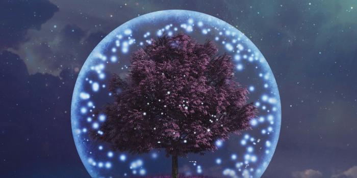 1411x2612 Tree wallpaper magical | Tree wallpaper iphone, Tree wallpaper, Spiritual  wallpaper