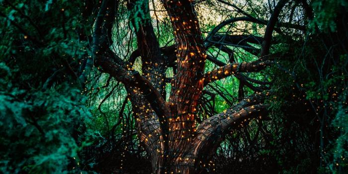 1000x1499 500+ Magical Pictures [HD] | Download Free Images on Unsplash