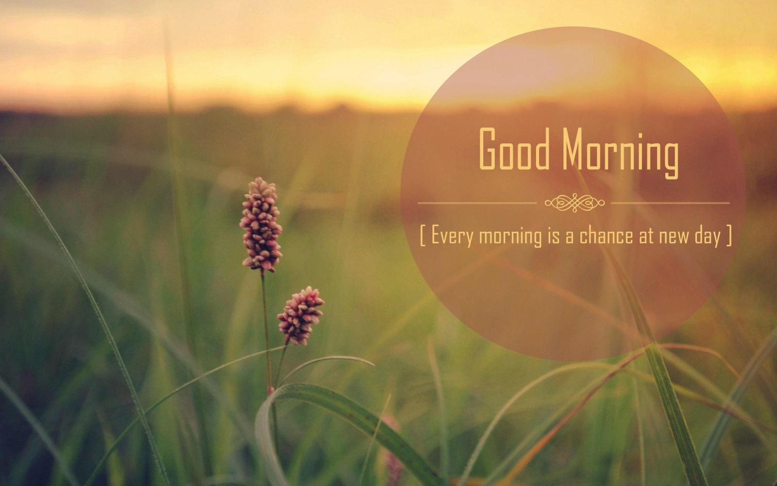 2560x1600 Beautiful Good Morning Cell Wallpapers