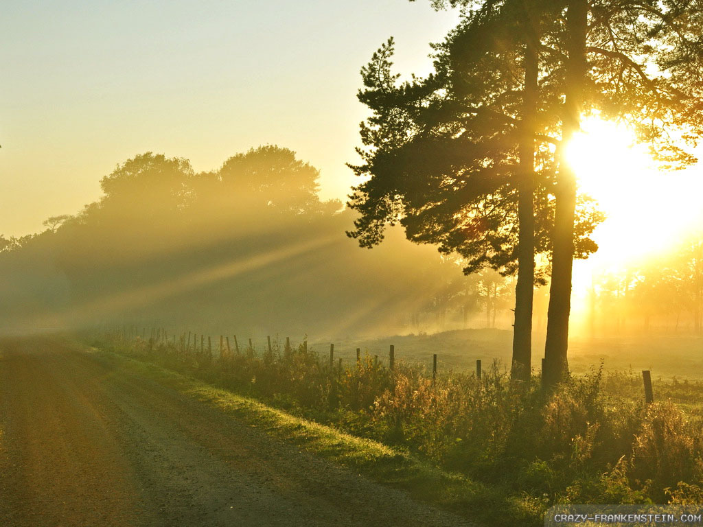 1024x768 Morning wallpaper | 1024x768 | #51717