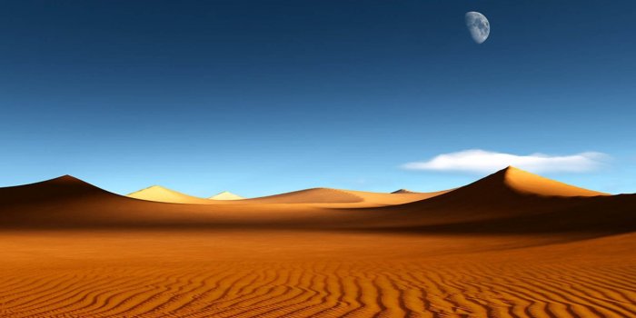1600x1000 69+] Desert Background Pictures on WallpaperSafari