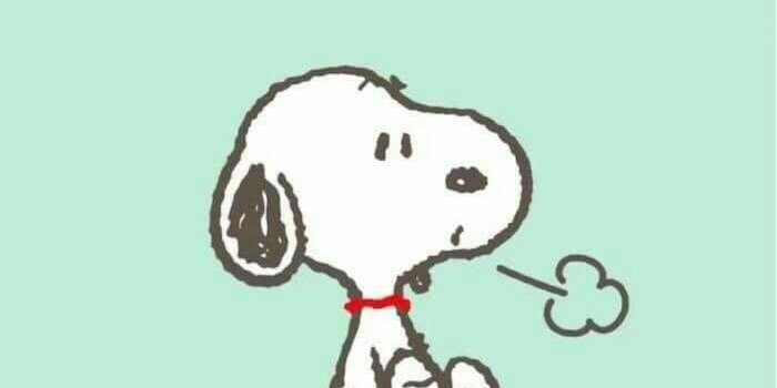 700x1244 Cute Snoopy Wallpapers - Top Free Cute Snoopy Backgrounds - WallpaperAccess