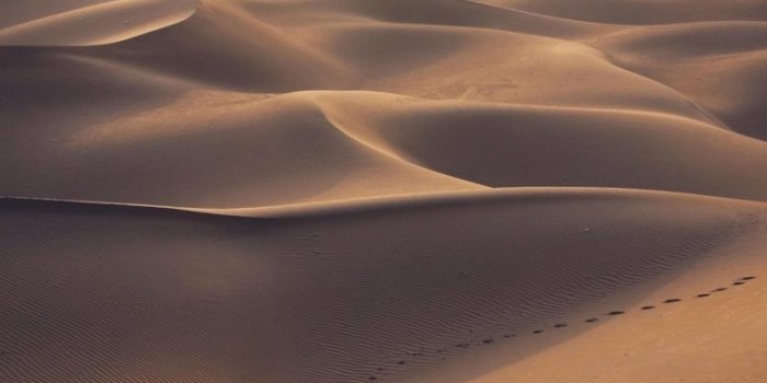 778x1600 Desert Wallpaper - NawPic