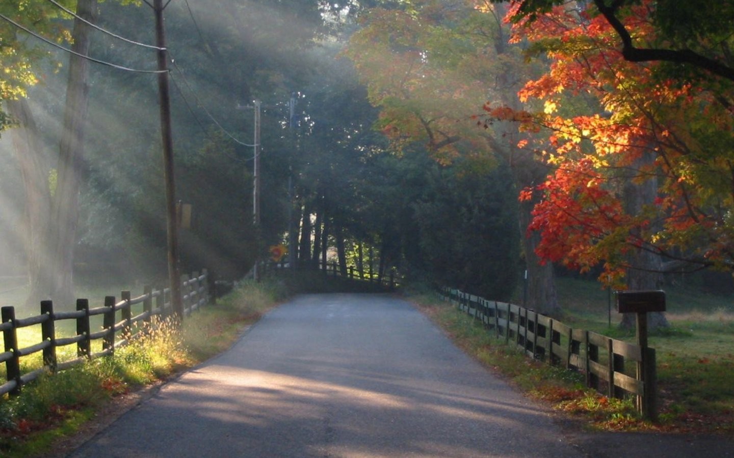 1440x900 Autumn Morning wallpapers | Autumn Morning stock photos