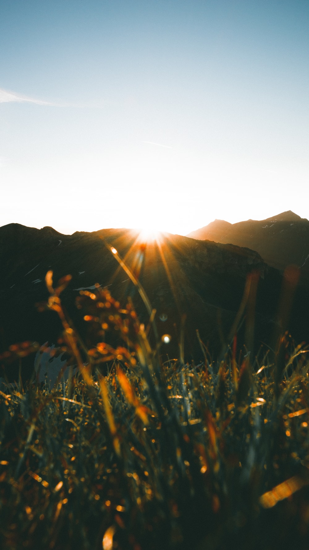 1000x1777 Morning Sun Pictures [HQ] | Download Free Images & Stock Photos on Unsplash