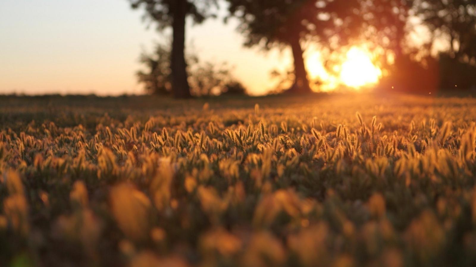 1920x1080 Morning High Quality Wallpapers