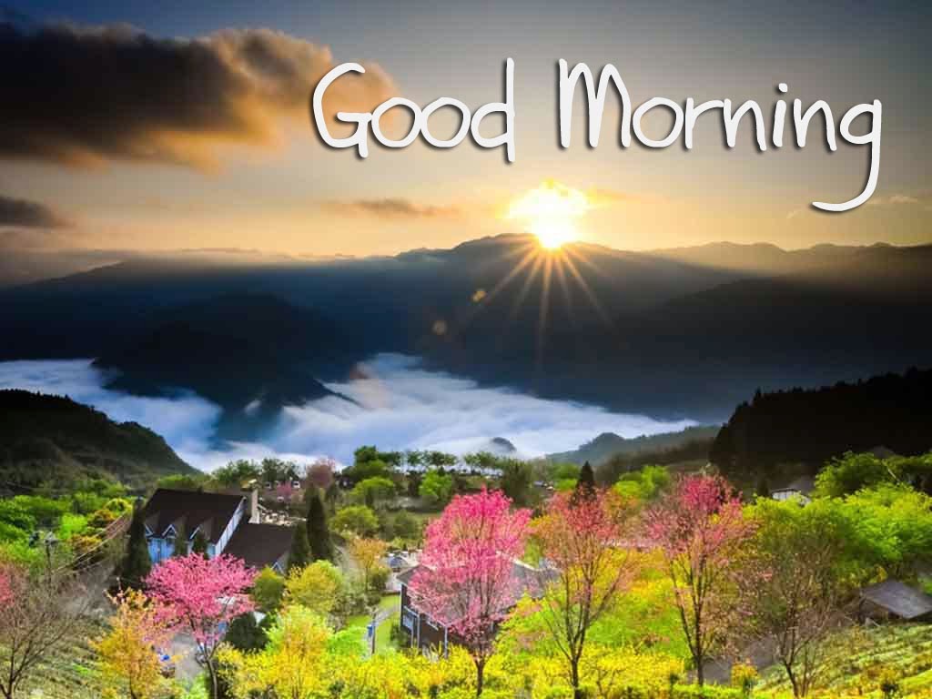 1024x768 49+] Beautiful Good Morning Wallpaper on WallpaperSafari
